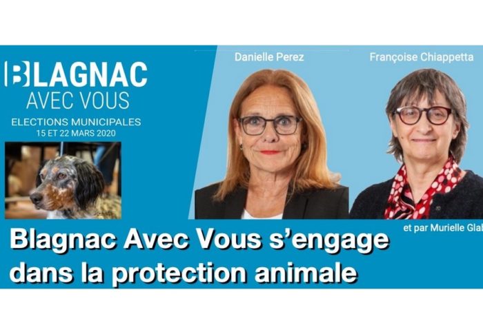 Blagnac Avec Vous s’engage dans la protection animale